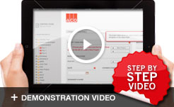 demo video